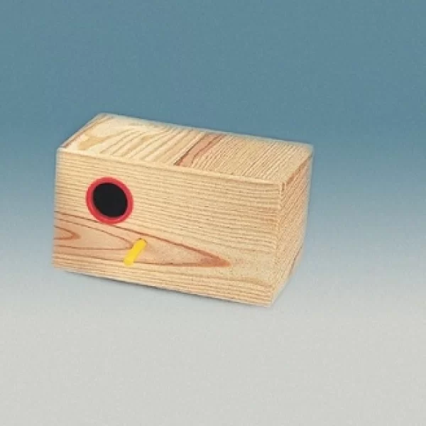 Roseicolis /Mandarins